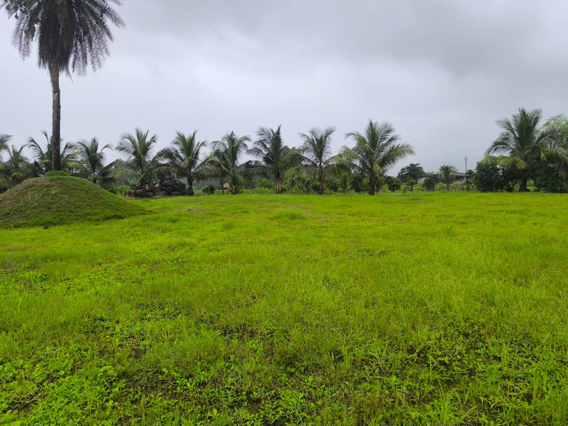 Residential Plot for Sale in Pen, Raigad (4000 Sq.ft.)