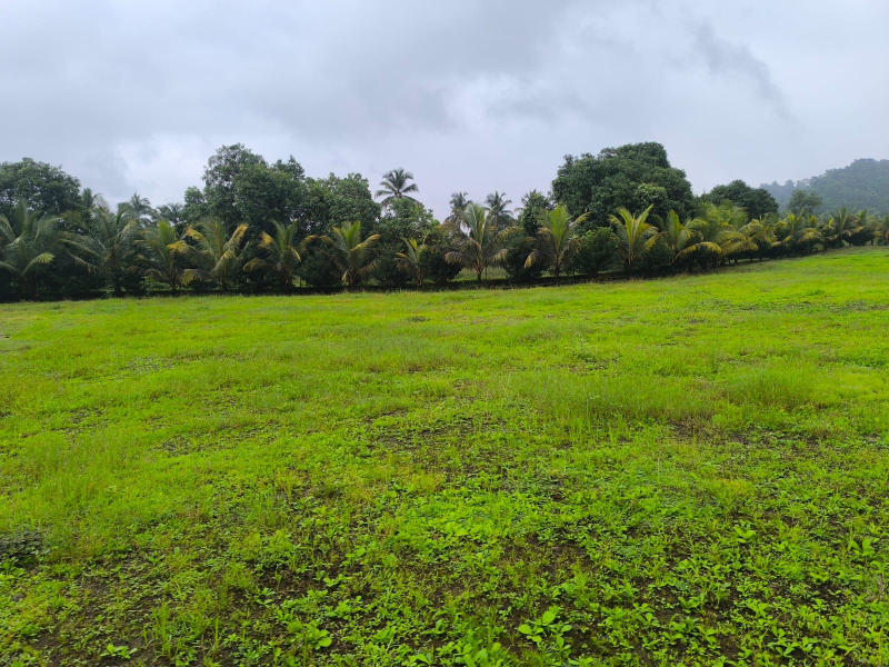 Residential Plot for Sale in Pezari, Raigad (2.5 Acre)