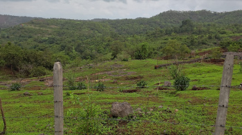 Premium Farm Estate – Your Dream Weekend Destination