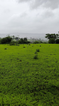 Green Valley Farm Plots | Live Close to Nature