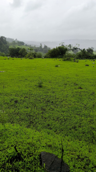 Residential Plot for Sale in Vindhane, Navi Mumbai (14 Guntha)