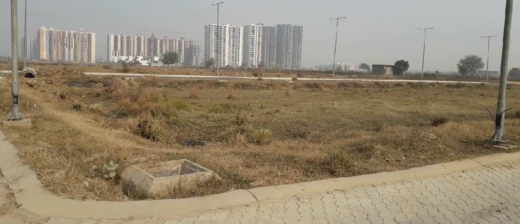 WAVE CITY KISAN ALLOTTED PLOT
