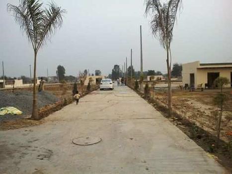 239 Sq. Yards Residential Plot in sector-5