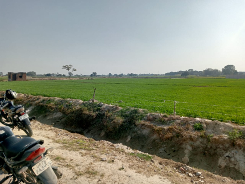 6 Bigha Agricultural/Farm Land for Sale in Bhimsen, Kanpur