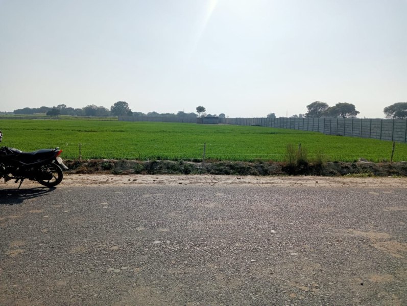 6 Bigha Agricultural/Farm Land for Sale in Bhimsen, Kanpur