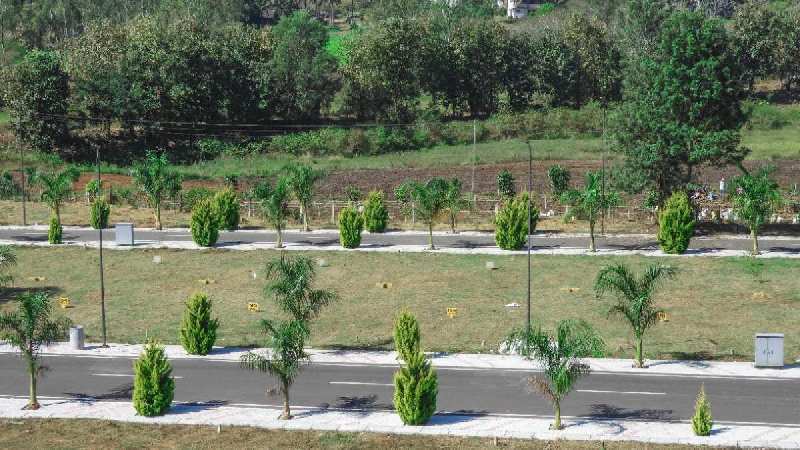 15 Acre Residential Plot for Sale in Anekal Road, Bangalore