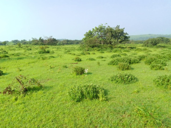 Agricultural/Farm Land for Sale in North Goa, Goa (325 Acre)