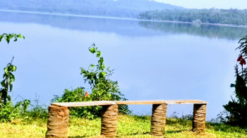 Agricultural/Farm Land for Sale in Madikeri, Kodagu (2 Acre)