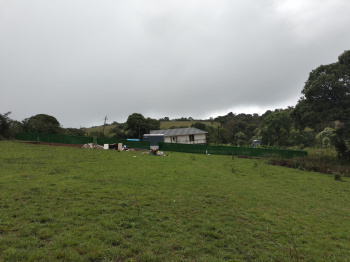 Agricultural/Farm Land for Sale in Madikeri, Kodagu (16 Acre)