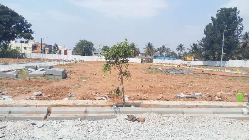 2.50 Acre Residential Plot for Sale in Sampigehalli, Bangalore