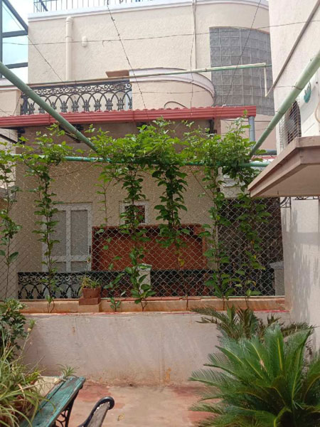 5 BHK Individual Houses / Villas for Sale in Chelekare, Bangalore (5500 Sq.ft.)