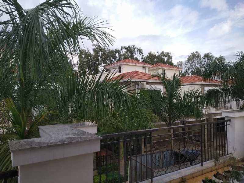 3 BHK Individual Houses / Villas for Sale in Budigere Cross, Bangalore (2950 Sq.ft.)
