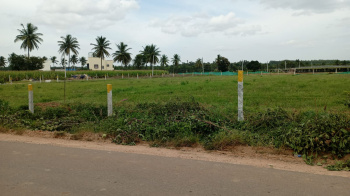 1 Acre Agricultural/Farm Land for Sale in Hoskote, Bangalore