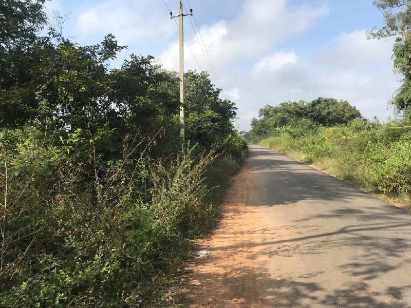 110 Acre Industrial Land / Plot for Sale in Anekal Road, Bangalore