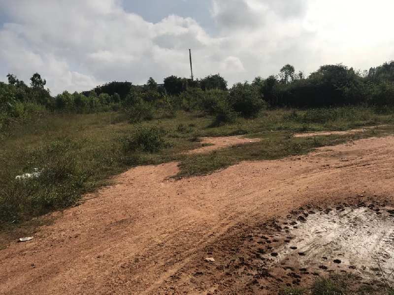 110 Acre Industrial Land / Plot for Sale in Anekal Road, Bangalore