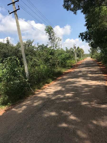 4 Acre Industrial Land / Plot for Sale in Hoskote Malur Road, Bangalore