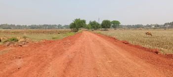 Property for sale in Balianta, Bhubaneswar