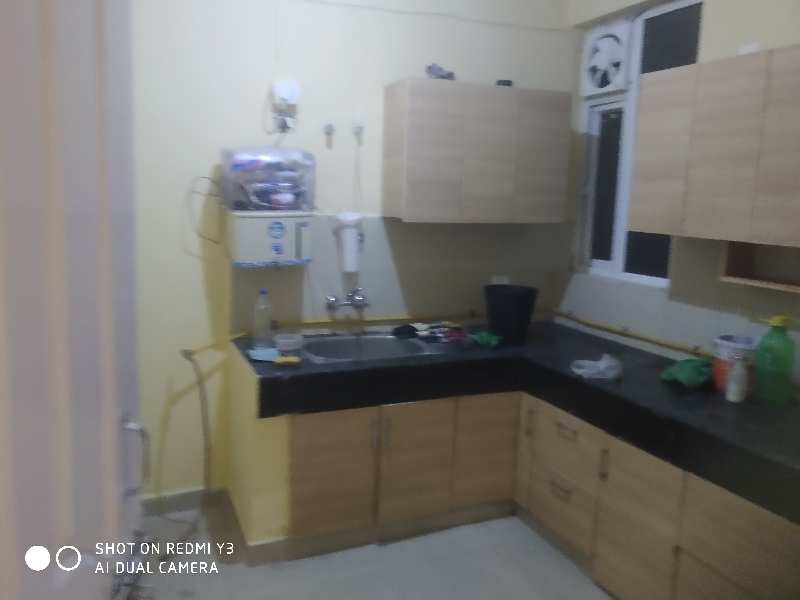 1425 sq house for rent sector 48