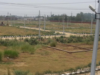 free hold269 SQ YARDPLOT  FOR SALE ON WIDE ROAd sector 50 NEARGOLF COURSE ROAD GURGAON