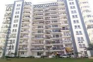 1336 sq ft 3 bhk flat for RENT in tulip White sector 69 gurgaon