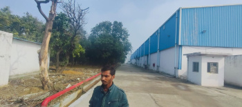 11000 sqft Tinshed warehouses for lease sector 64 Badshah Pur Gurgaon Haryana