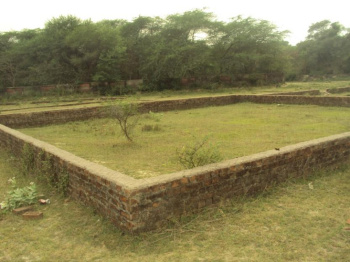 Residential Plot for Sale in Sector 37C, Gurgaon (107 Sq. Yards)