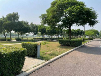 64 sq yards  plot for sale in huda sector 10 near dwarka express way gurgaon
