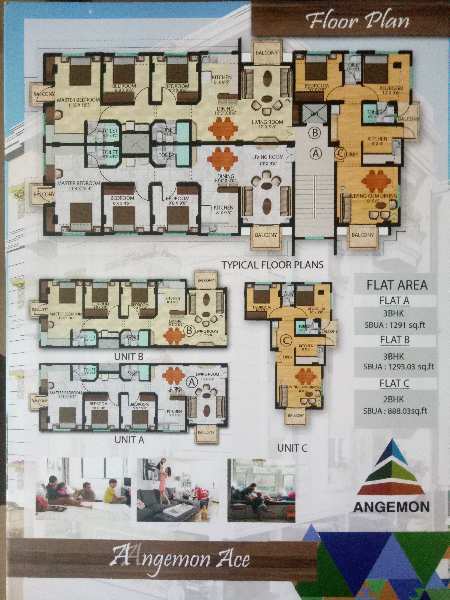 3 BHK Flats & Apartments for Sale in Jayanagar, Guwahati (1293 Sq.ft.)