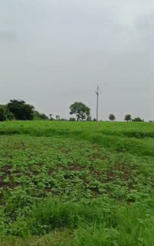 Agricultural/Farm Land for Sale in Gulabganj, Vidisha (10 Bigha)