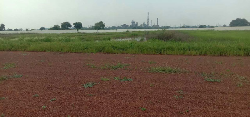43500 Sq.ft. Industrial Land / Plot for Sale in Vidhan Sabha Road, Raipur