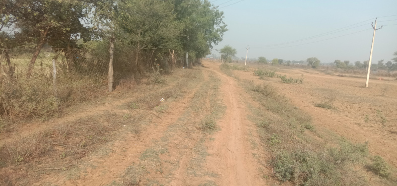 60 Acre Agricultural/Farm Land for Sale in Bhatapara, Raipur