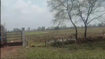 42 Acre Agricultural/Farm Land for Sale in Bilaspur Road, Raipur