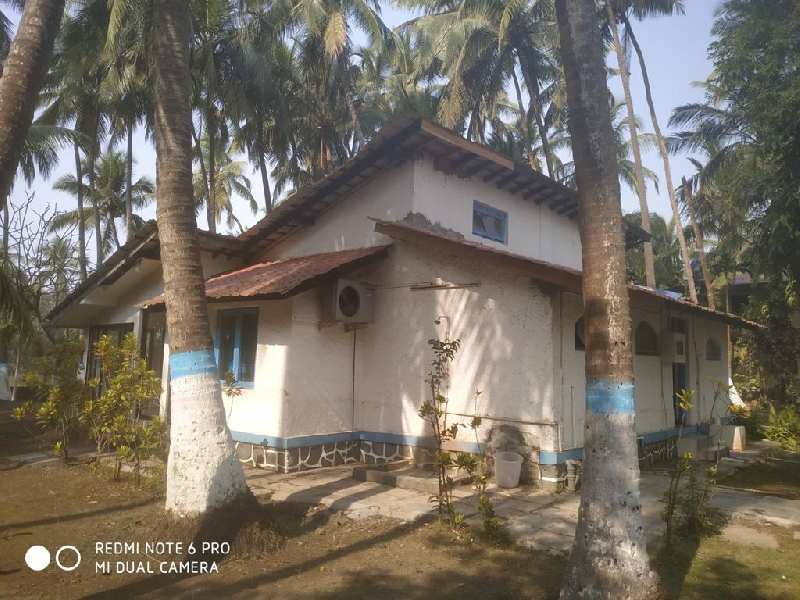 3 BHK Individual Houses / Villas for Sale in Nagaon, Raigad (16 Guntha)
