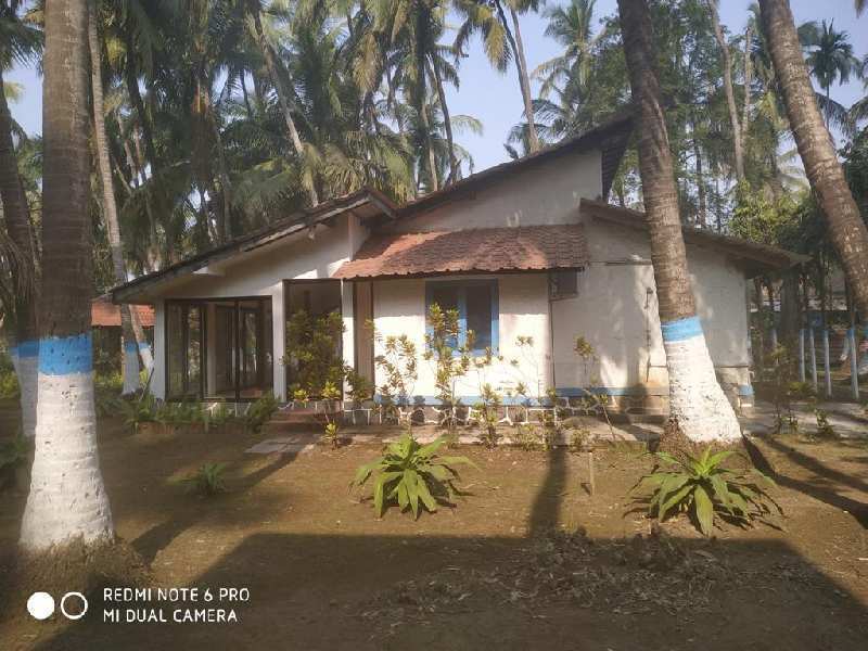 3 BHK Individual Houses / Villas for Sale in Nagaon, Raigad (16 Guntha)