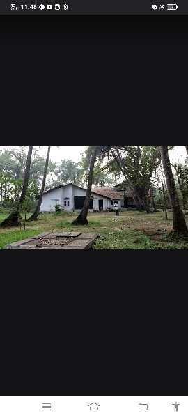 3 BHK Individual Houses / Villas for Sale in Nagaon, Raigad (64 Guntha)