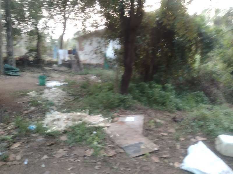 5 Guntha Residential Plot for Sale in Alibag, Raigad