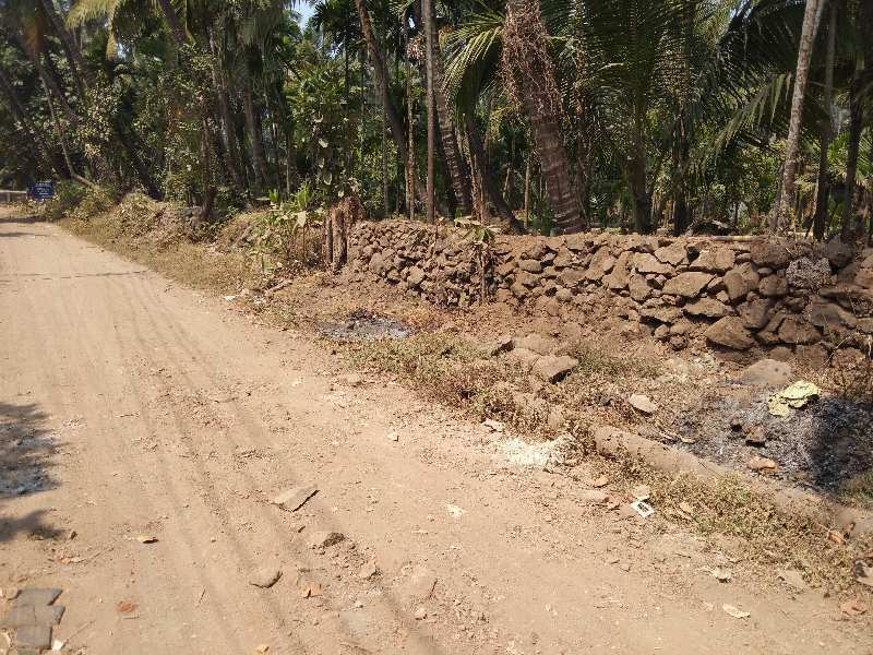 60 Guntha Residential Plot for Sale in Alibag, Raigad