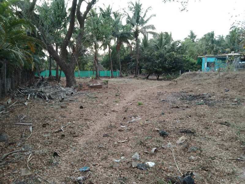 11 Guntha Residential Plot for Sale in Alibag, Raigad