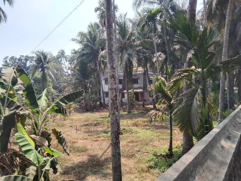 2 BHK Individual Houses / Villas for Sale in Alibag, Raigad (21 Guntha)