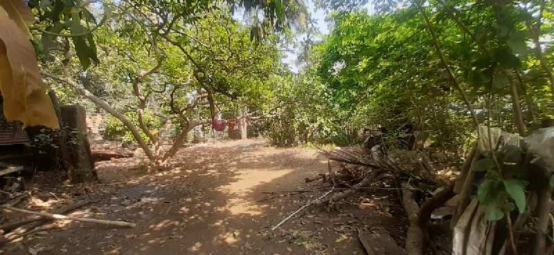 3 BHK Individual Houses / Villas for Sale in Nagaon, Raigad (10 Guntha)