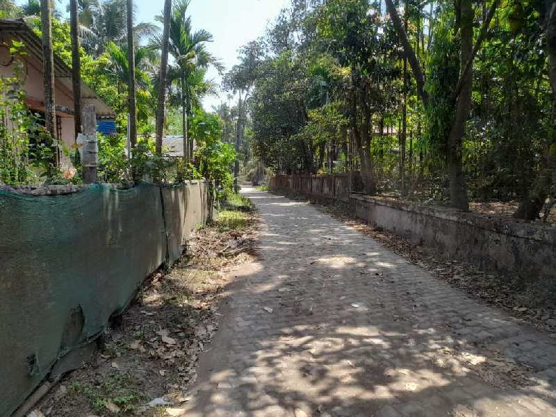 2 BHK Individual Houses / Villas for Sale in Chaul, Raigad (18 Guntha)