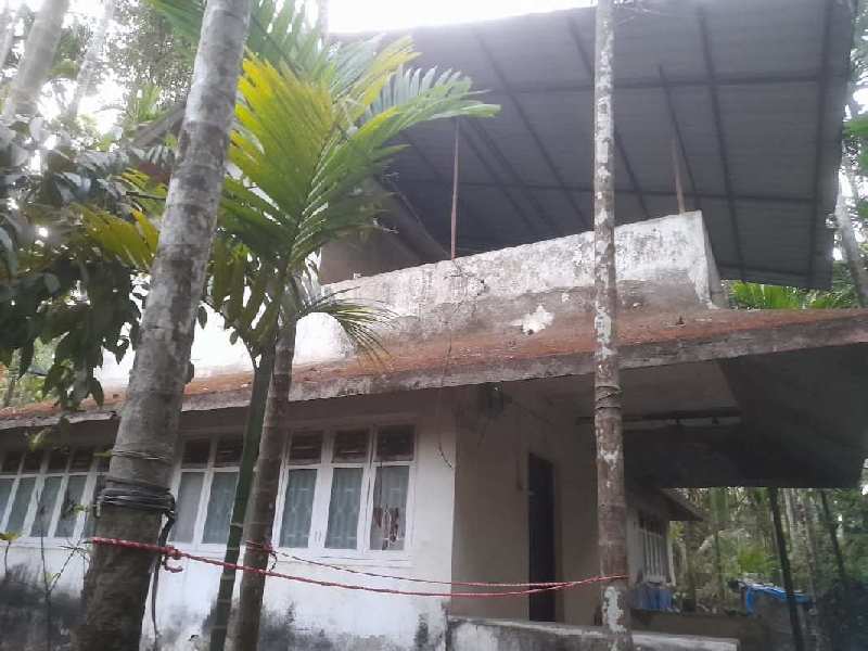 1 BHK Individual Houses / Villas for Sale in Chaul, Raigad (5 Guntha)