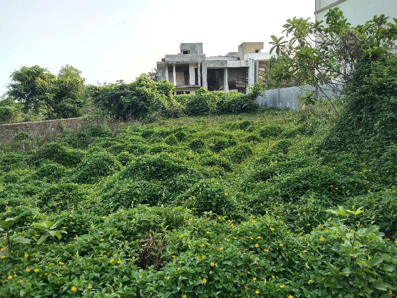 5 Guntha Residential Plot for Sale in Nagaon, Raigad