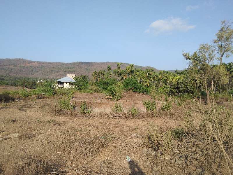 37 Guntha Residential Plot for Sale in Murud, Raigad