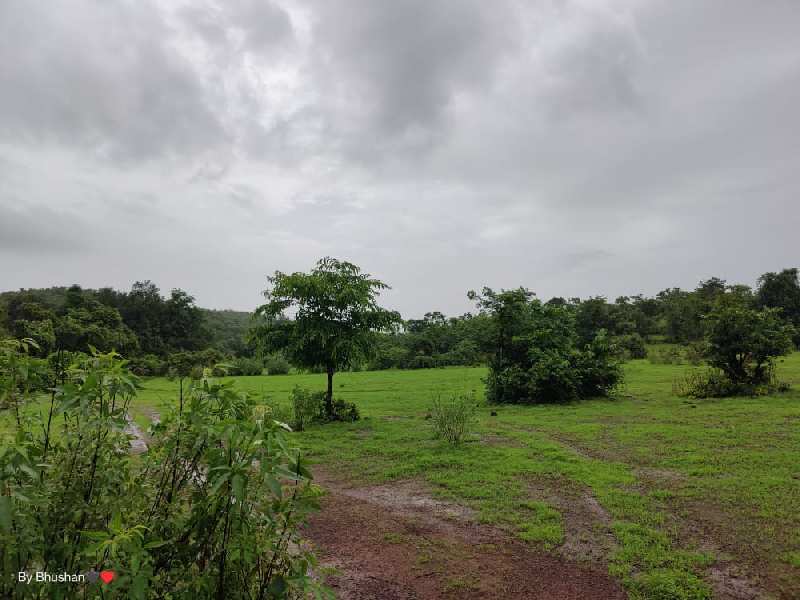 77 Acre Residential Plot for Sale in Tala, Raigad