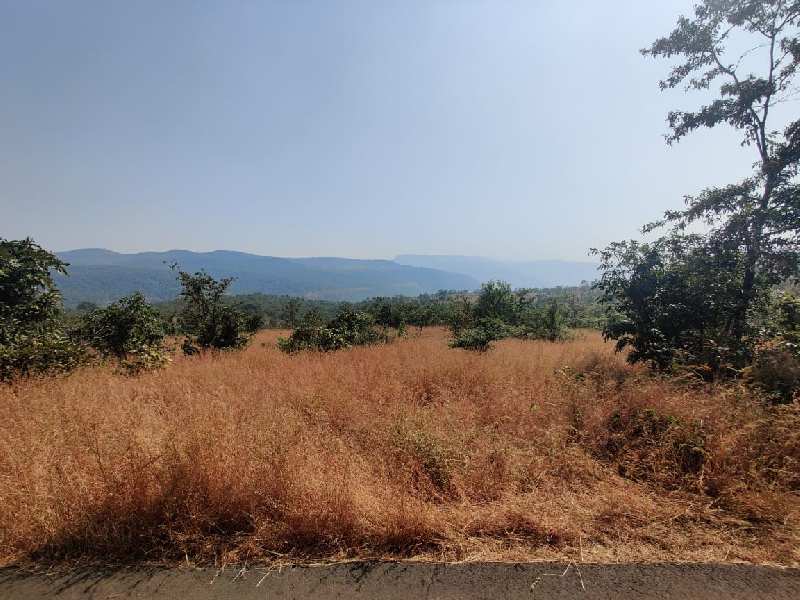 95 Acre Residential Plot for Sale in Mhasla, Raigad