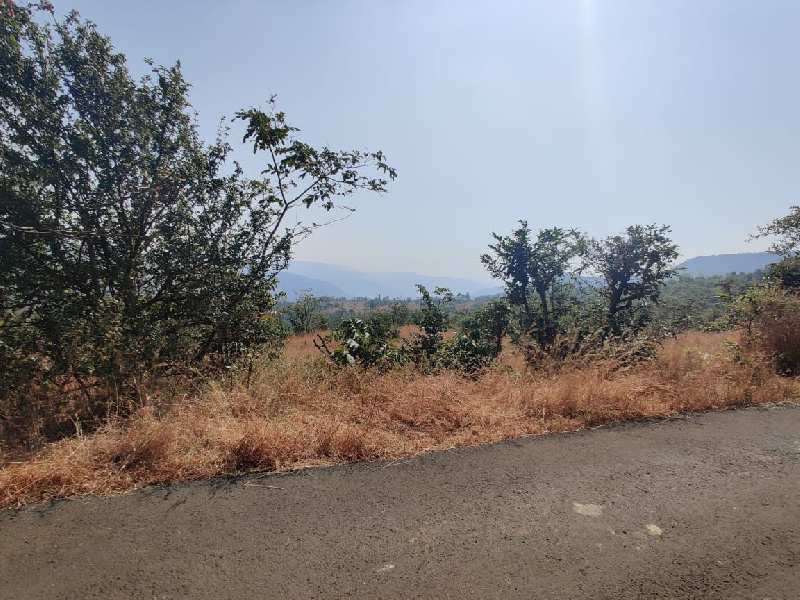 95 Acre Residential Plot for Sale in Mhasla, Raigad