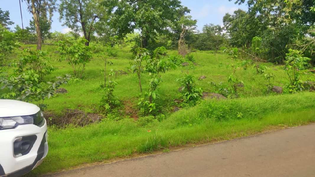 400 Acre Residential Plot for Sale in Mhasla, Raigad