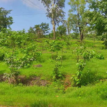 Property for sale in Mhasla, Raigad