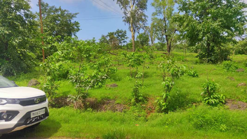 400 Acre Residential Plot for Sale in Mhasla, Raigad
